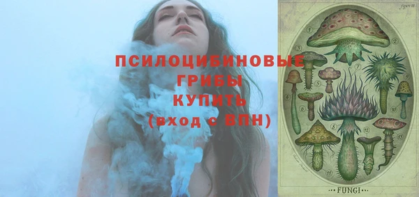 молекула духа Сосновоборск