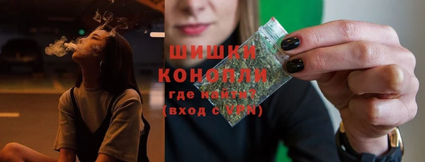 молекула духа Сосновка