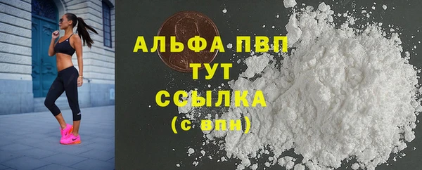 молекула духа Сосновка
