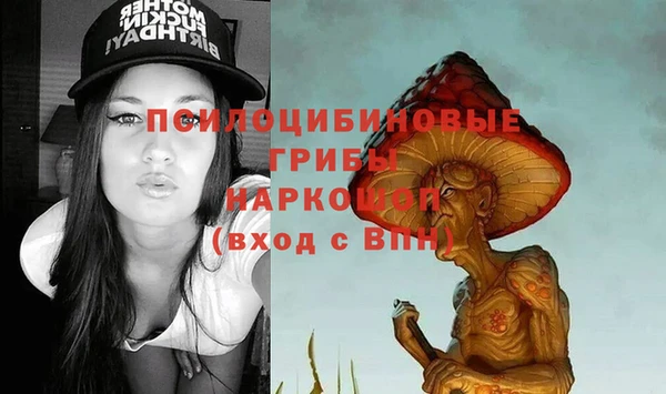 молекула духа Сосновоборск