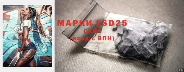 молекула духа Сосновка