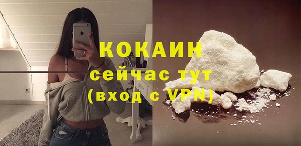 молекула духа Сосновка