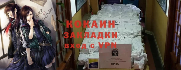 молекула духа Сосновка