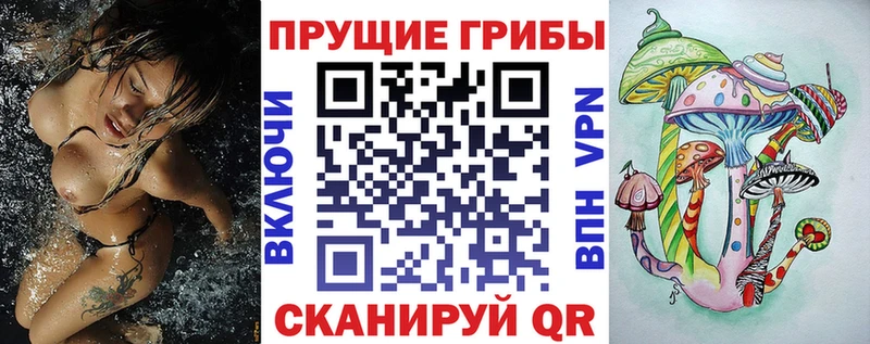Купить где  Кириллов  Галлюциногенные грибы прущие грибы 